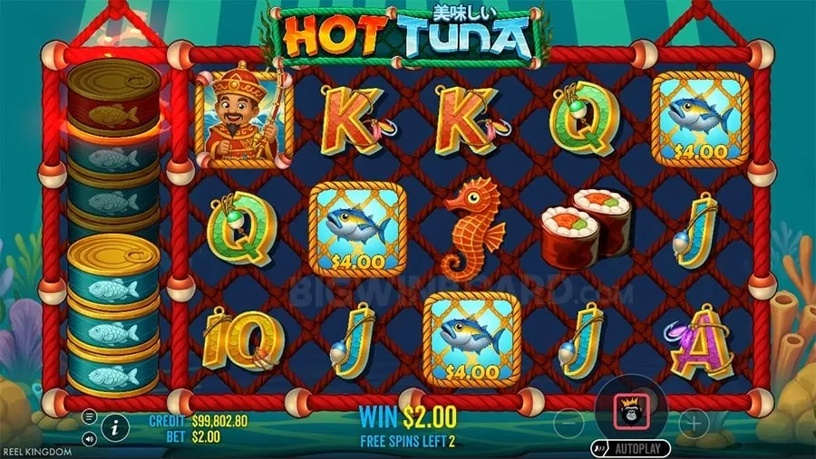 win63 Live Casino